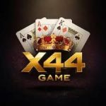 X44 Game
