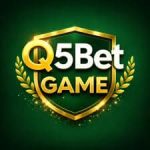 Q5Bet Game